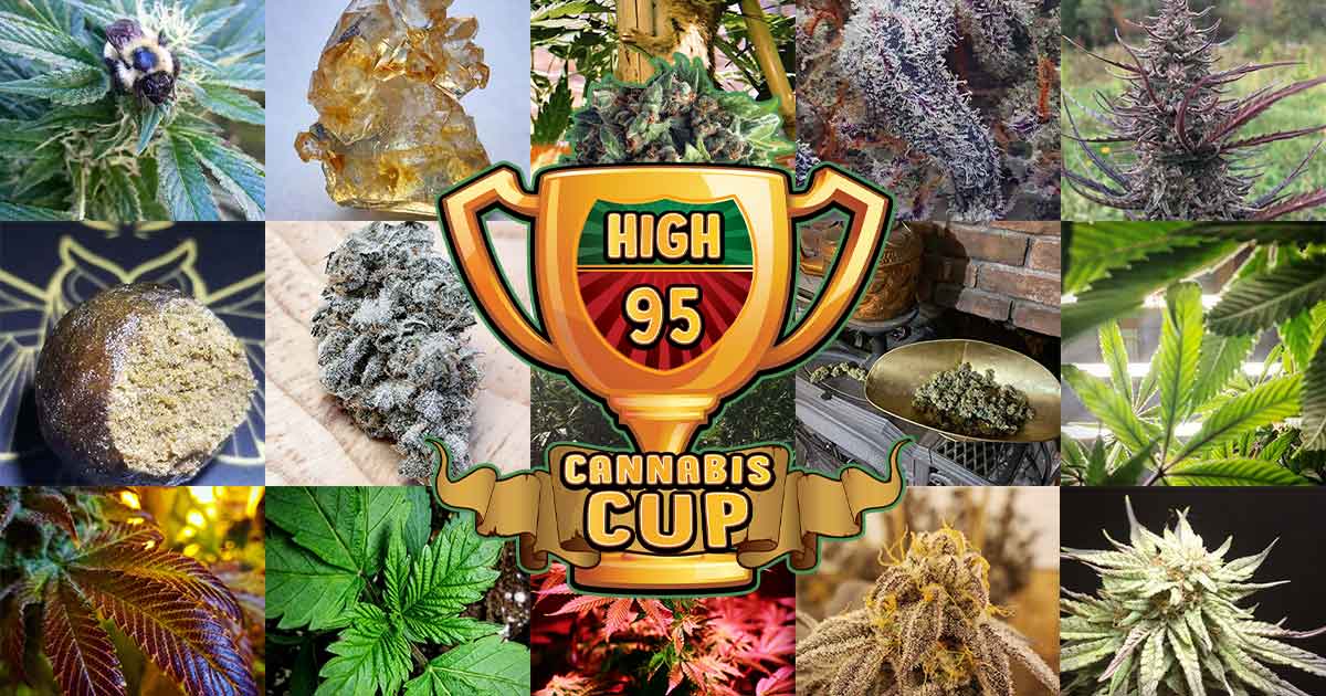 High 95 Photo Cup