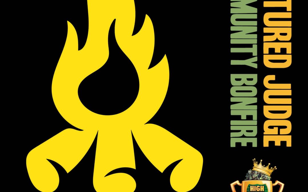 Featured Judge – Community bonfire
