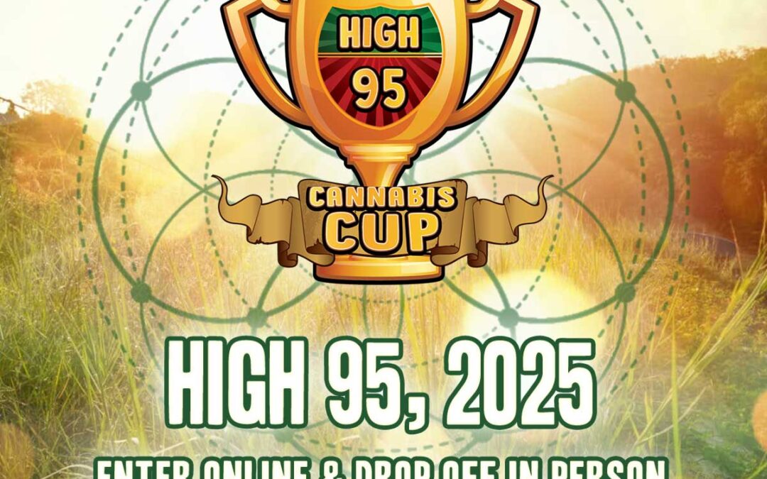 Winners 2025