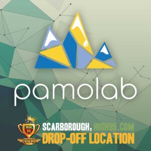 PamoLabs PamoLabs