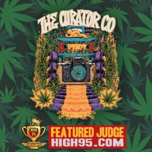 The Curator The Curator