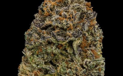 Cherry Ghostenade , King Pine Cannabis