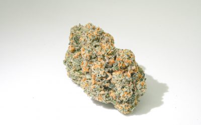 Pure Michigan Maine, Faded cannabis company