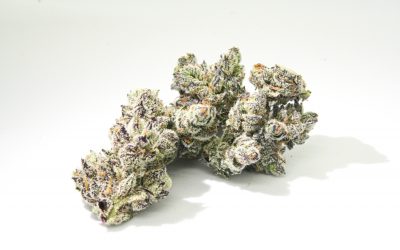 White Truffle, Faded cannabis company