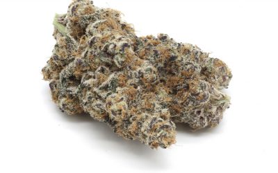 Fluffernutter , Loud and Local