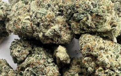 10th Planet, Sticky Bud Farms