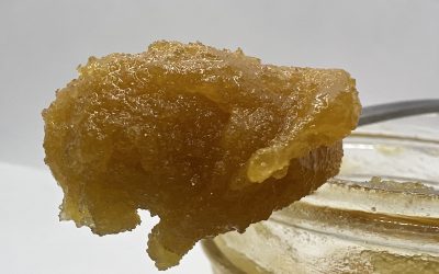 50 shades of Gold, Sticky Bud Farms