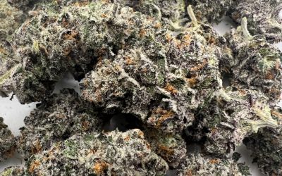 Purple Majik , Sticky Bud Farms